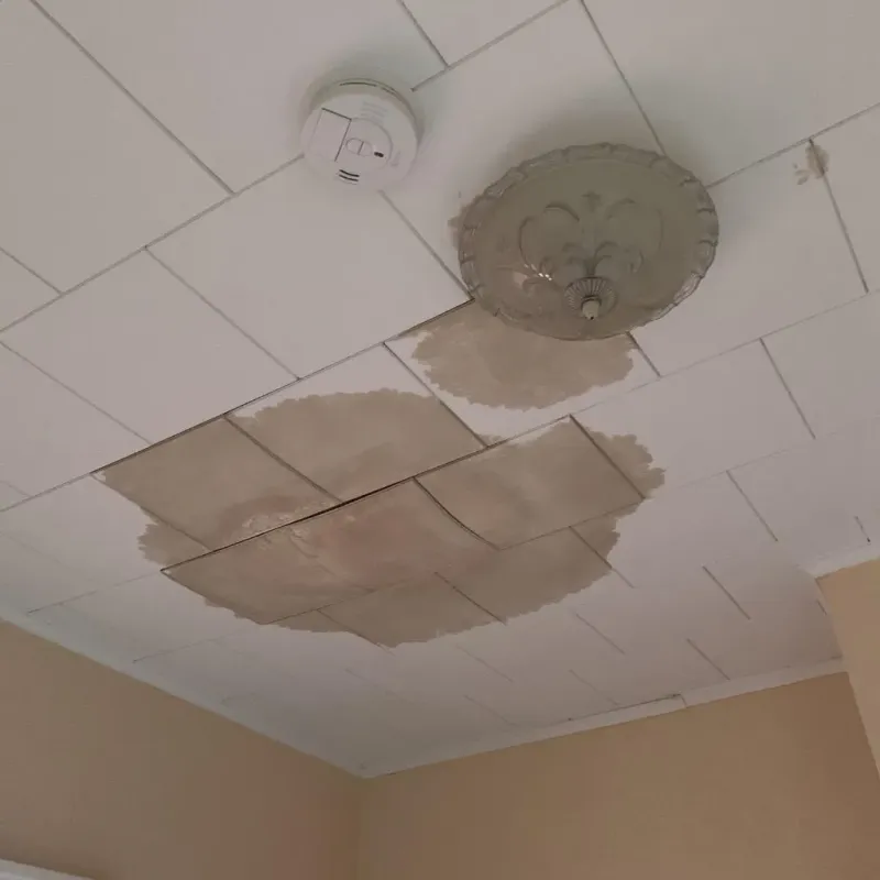Ceiling Water Damage Repair in Thompson, CT