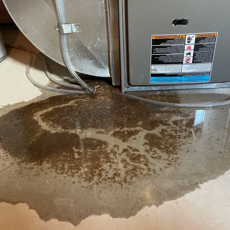 Pipe Burst and Leak Restoration in Thompson, CT