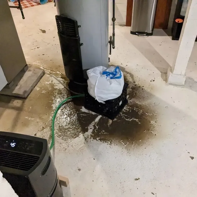 Sewage Backup Cleanup Service in Thompson, CT